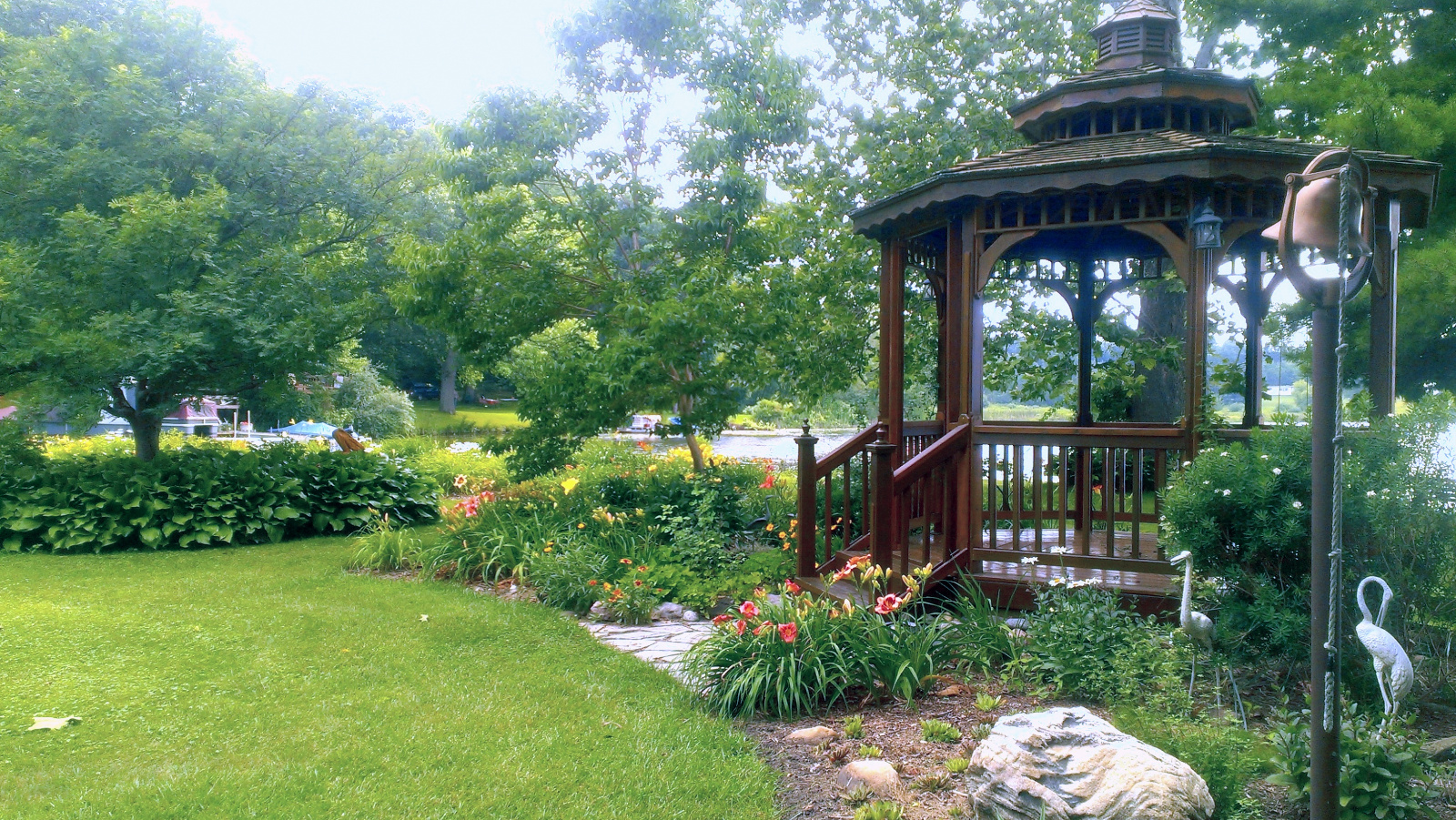 Daylily in bloom in front of Cedar Gazebo from the side